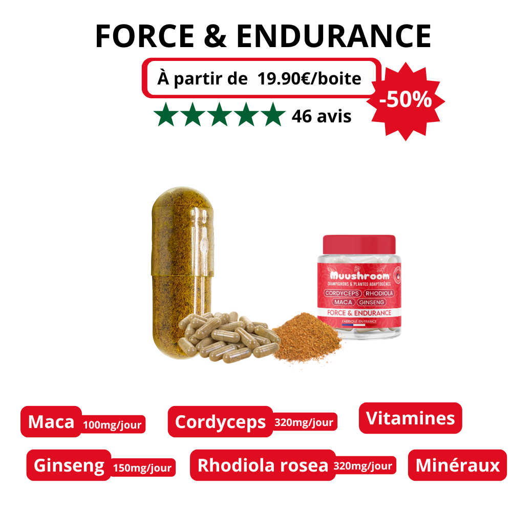FORCE/ENDURANCE